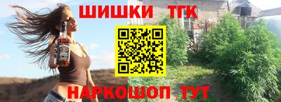 скорость Гатчина