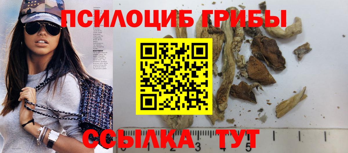 Псилоцибиновые грибы Psilocybe Малоярославец