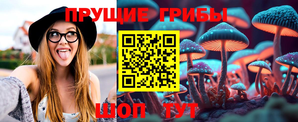Малоярославец  Галлюциногенные грибы Psilocybine cubensis  Вход с VPN  даркнет сайт  Псилоцибиновые грибы Psilocybine cubensis 